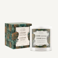 Bougie parfumée Wild Cedar...
